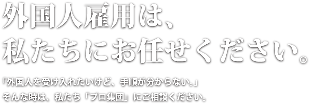 外国人雇用は、私たちにお任せください。外国人の紹介からビザの申請、入職後の支援までトータルサポート！
